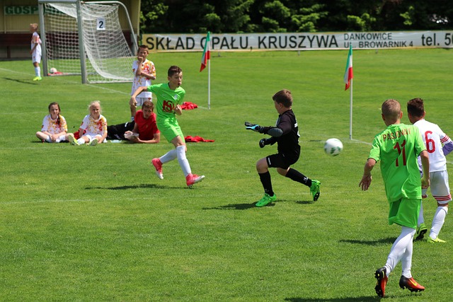 充分展現了 充分展現了