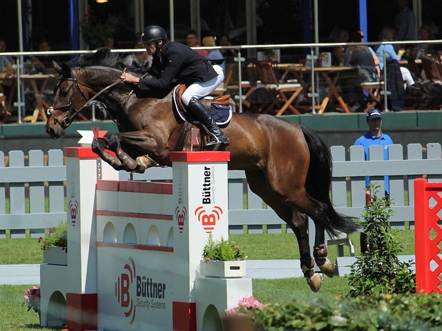 过去的失败 过去的失败