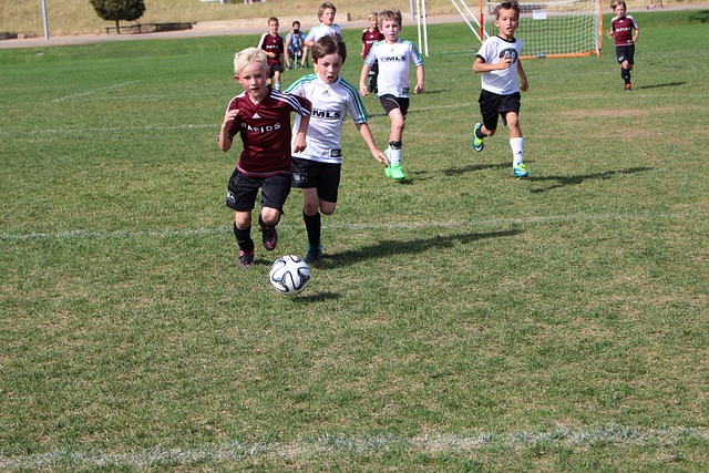 明對比 明對比